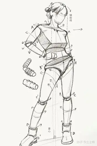 不管是速写还是素描,首先要理解内在人体结构,人体肌肉是学习人体绘画