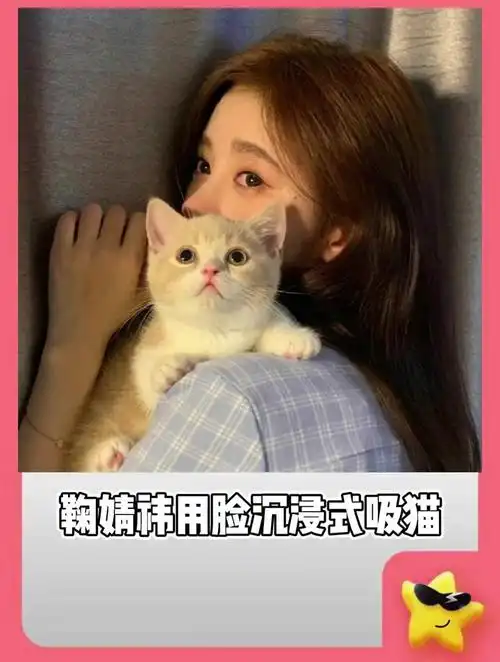 鞠婧祎 在剧组喜欢抱着猫咪狂rua,画面温馨中又带着一丝好笑