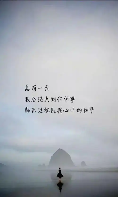 感悟人生哲理句子8个字8个字的人生感悟