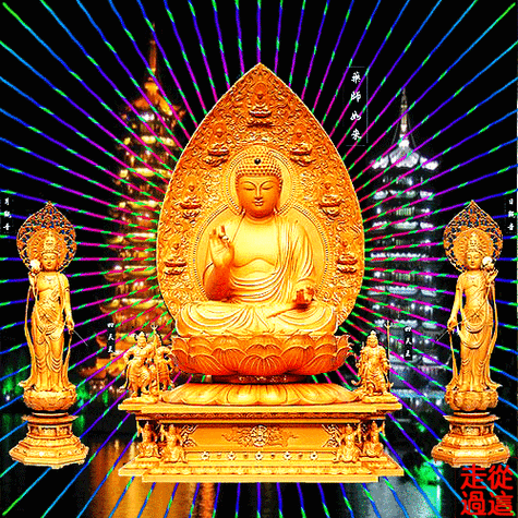 500_500gif 动态图 动图