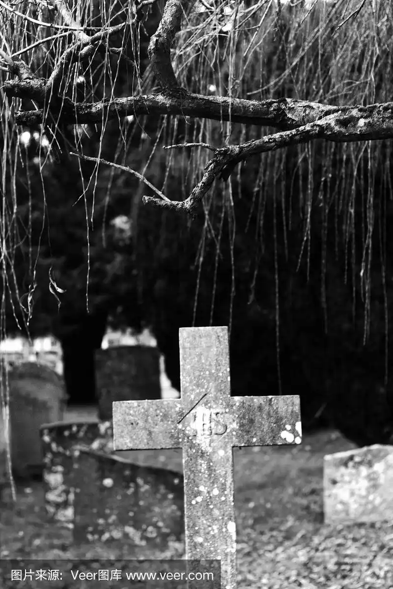 墓地里的黑白墓碑