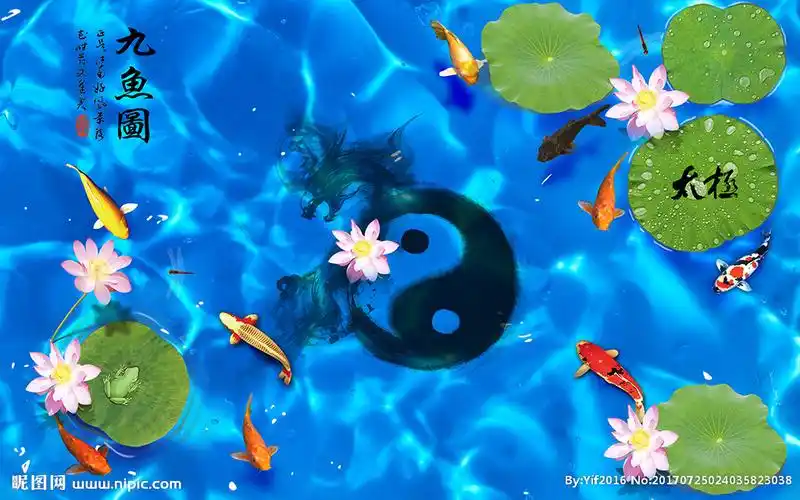 太极九鱼图荷花图片