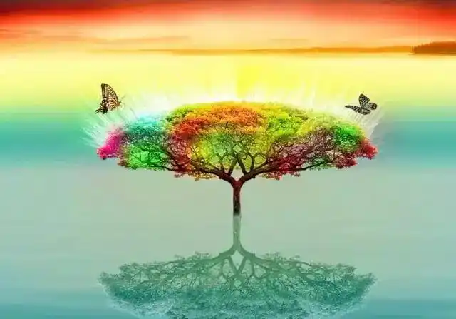 可以说是二道皆通.他手里的加持神杵和七宝妙树真可谓是法力无