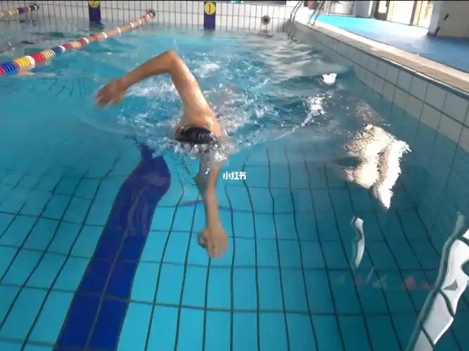 初学自由泳之自由泳手加换气二