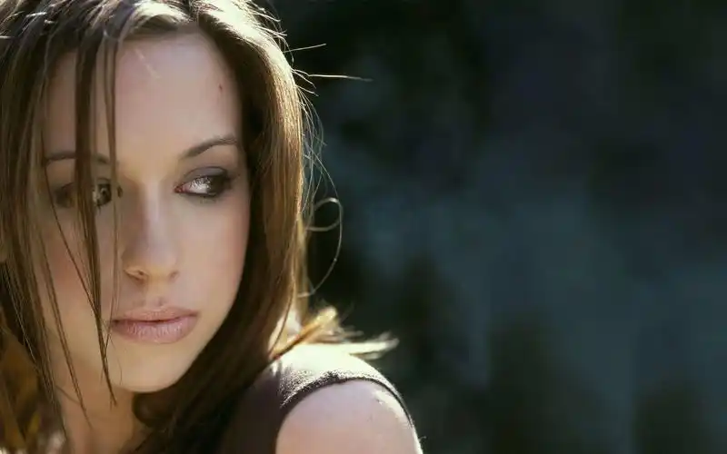 欧美女星莱西沙伯特壁纸欧美女星壁纸明星壁纸莱西沙伯特壁纸演员壁纸