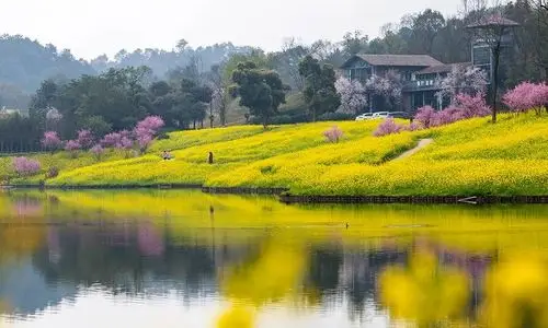 美图|重庆天坪山春暖花开 呈现绝美乡村山水图_云林