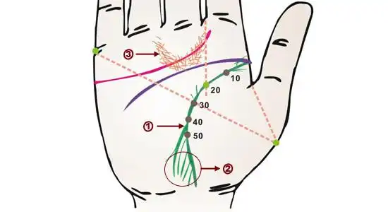 中邮邮邮人 这些     生命线始端分岔,表示过去首有胸部