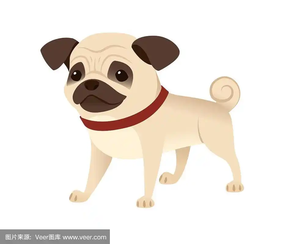 可爱的小友好的哈巴狗卡通家养动物设计平面矢量插图孤立在白色的背景