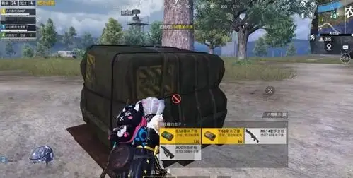 正和平精英空投什么装备没用大神看到直接忽略只有新手才捡走