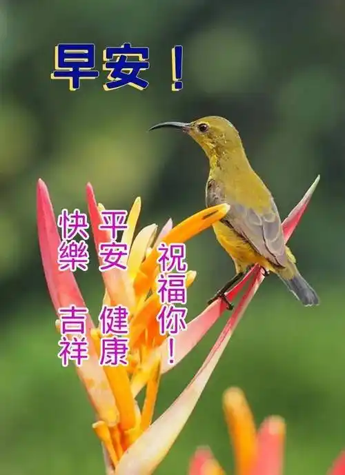 原创9张秋日有创意早上好免打字图片带祝福语2021秋日温馨的早上好