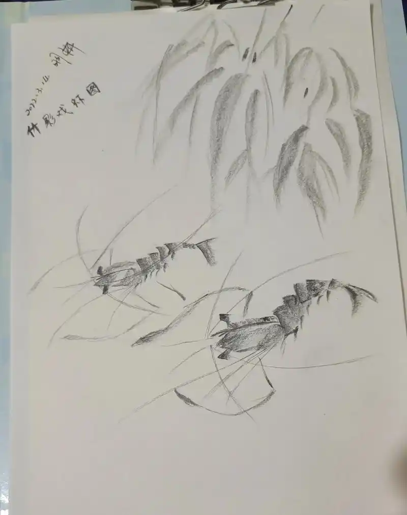 我的竹影戏虾图和儿子的一比,逊色太多了.虾,寓意吉祥如意,希 - 抖音