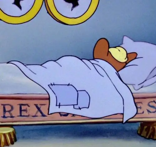 每天晚上躺在床上要是不编个故事 设定好角色闭上眼睛开始脑内演的