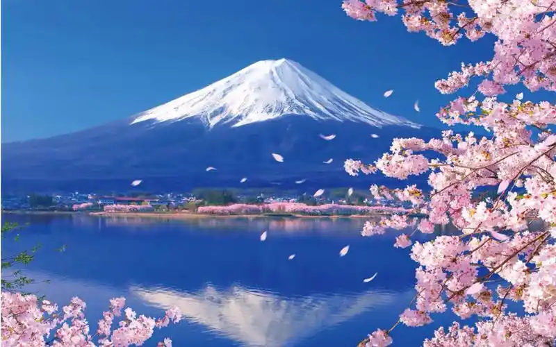 富士山樱花湖畔拼图