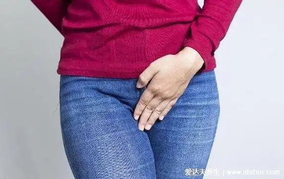 腹股沟在哪个位置图片,人体会阴部的两侧(下腹部大腿根的内侧)