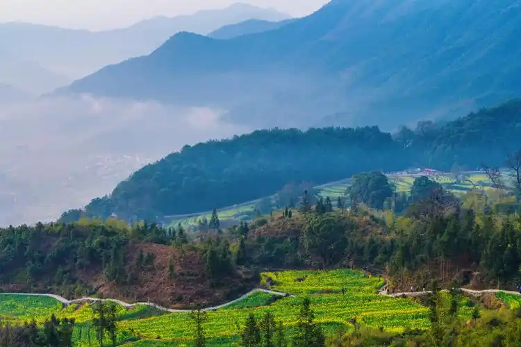 浮现的是灿烂的油菜花田,是极具韵味的古民居,是山水掩映间的世外桃源