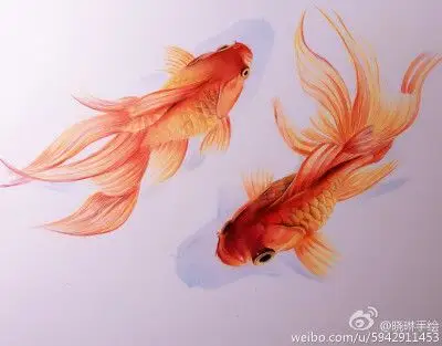 彩铅- 堆糖,美图壁纸兴趣社区