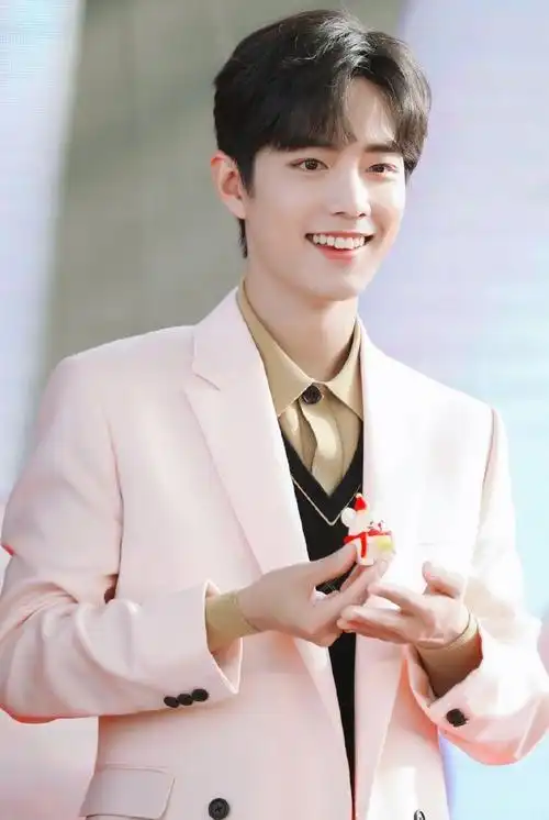 肖战帅气图集,我不是一个完美的人,但不妨碍我成为一个更好的人