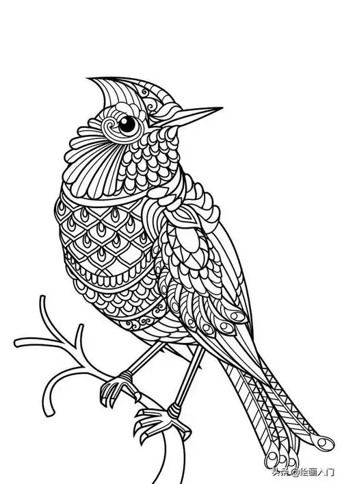 25张鸟类题材线描,高清黑白手绘线稿,禅绕画入门图案延伸作品