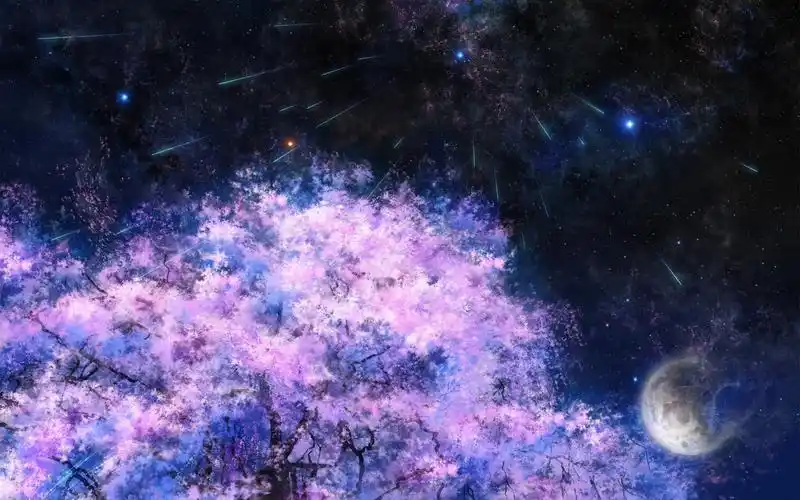 樱花树下的流星雨1600x1200分辨率查看