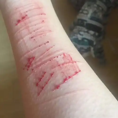 2017  1207  246792咨询师许倩倩 你好 2017-12-07 03:49:32 咨询师