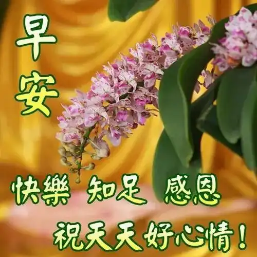 新版早安问候温馨短句配动态图片 微信最新早上好表情包动态图片