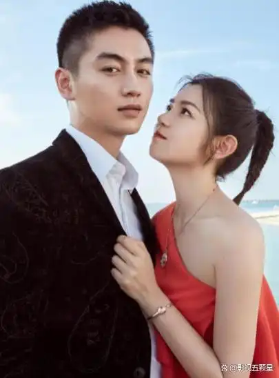 事业巅峰期官宣恋情:鹿晗,陈晓高调,张若昀幸福,有一位已离婚