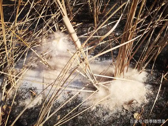 极度个人膨胀之后的一地鸡毛!