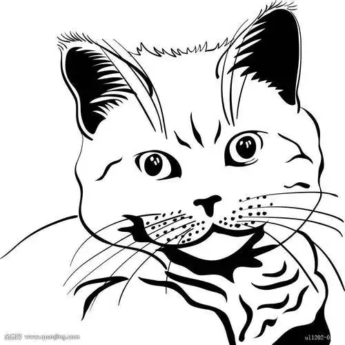 素描动物头像高清图片