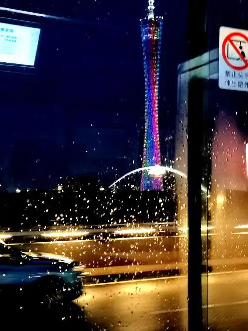 《窗外》坐在行驶在大雨中的公交车上,透过车窗拍外面的夜景.