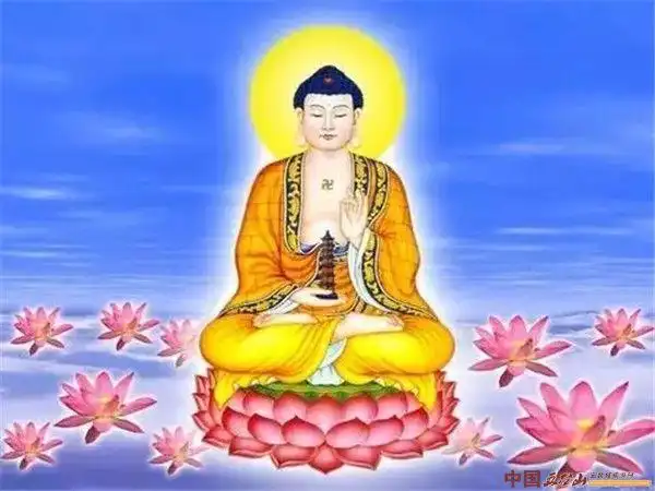 佛菩萨为什么都坐莲花