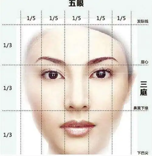 因为眉毛的高度与粗细是面部上庭和中庭的分界点,也是五眼划分的依据
