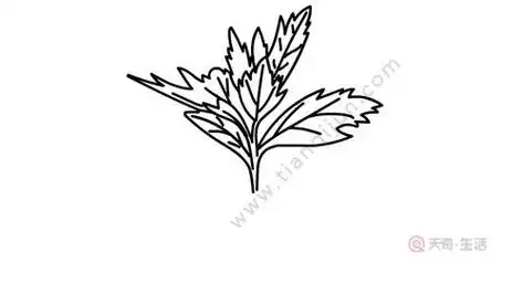 挂艾草的简笔画