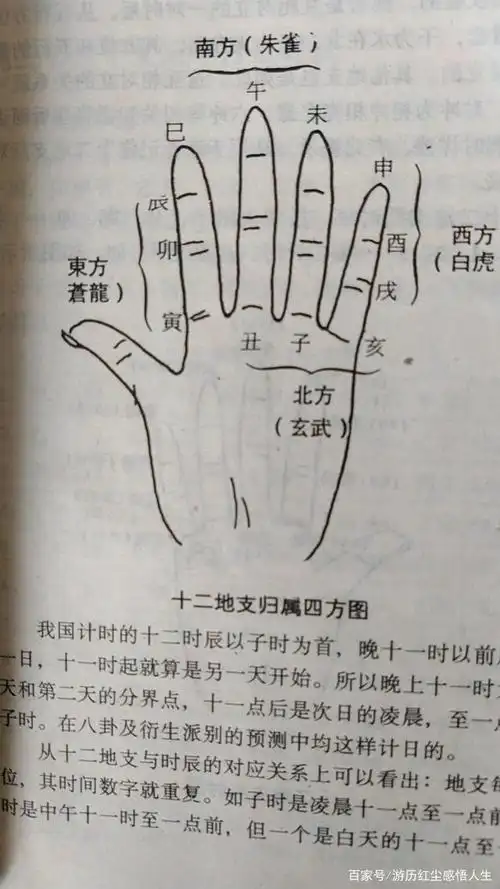 十二地支掌诀图