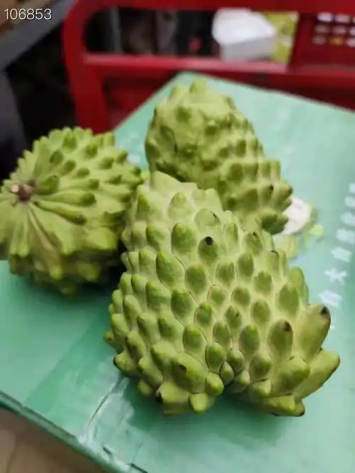 稀奇古怪的水果释迦果