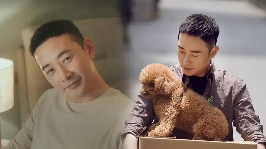 罗晋影视群像合集,他荷尔蒙爆表!《安家》暖心佛系徐姑姑来喽