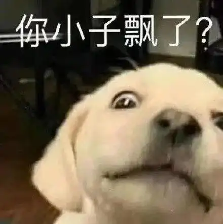 你小子飘了?(狗狗表情包)_小子_狗狗表情