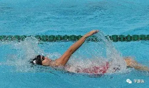 游泳最大的秘诀就是勇敢!你准备好学哪种泳姿了吗