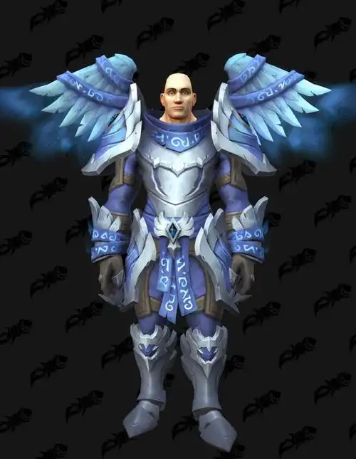 0圣骑士职业套装,大翅膀真帅!