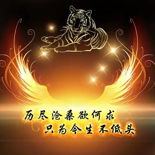 无字头像底图素材图片分享喜欢拿走直接用