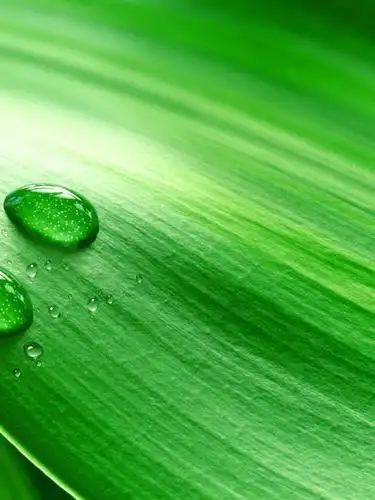 评论 分享 微信扫一扫 新浪微博 qq空间 举报收起