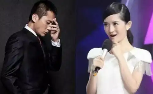 谢娜讲述和刘烨分手的原因