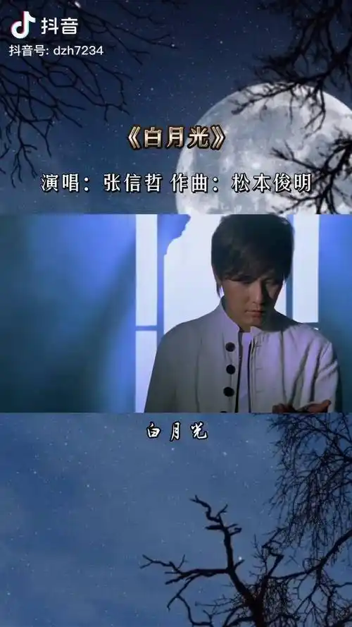 松本俊明 以月光为灵感来源,谱出了白月光 这样如诗般的好歌张信哲