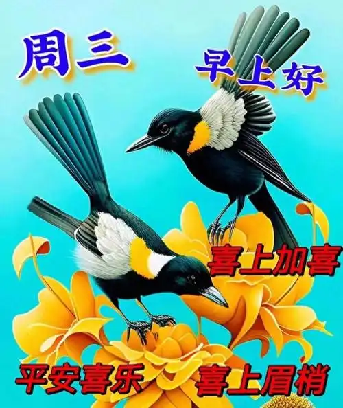 2023年9月20日星期三早上好问候语 周三早安祝福图片