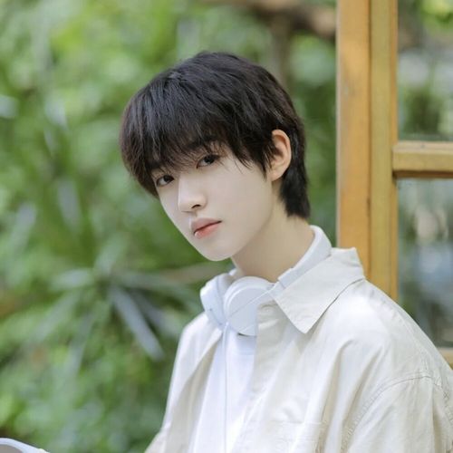 学生男短发韩版帅气逼真自然齐刘海男士短卷发蓬松自然日常造型