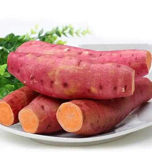 乐平地瓜味含有大量的食物性纤维,能预防便秘,是减肥的最佳食品之一.