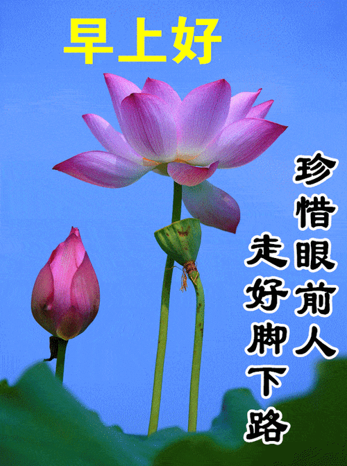 早上好表情包每天的问候是情谊是关心和惦记