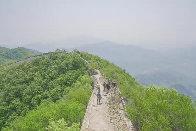 植物,土壤,灰浆都要取样,箭扣长城来了三位不同学科博士