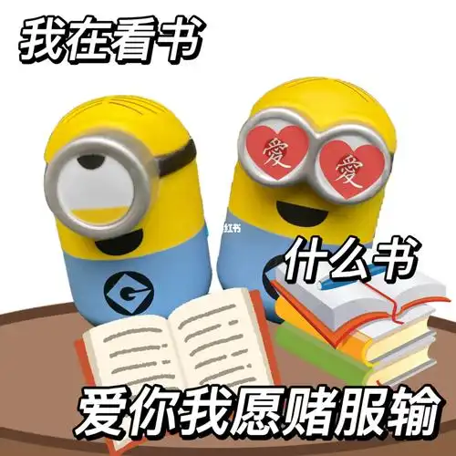 什么书爱你我愿赌服输