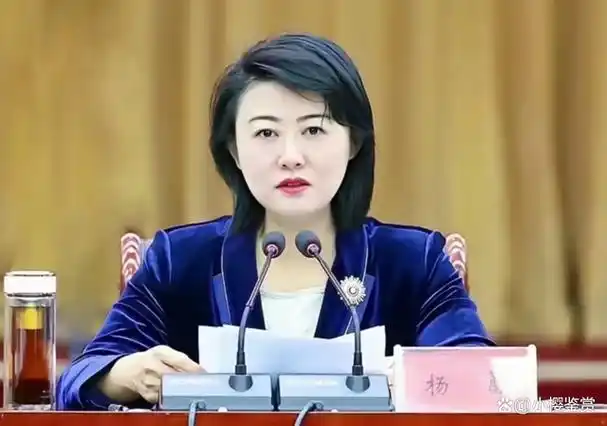 最美80后"女县长"杨蕾,长相温婉履历丰富,学历也令人钦佩