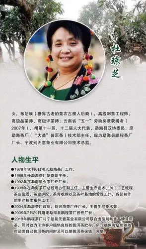 重庆八八青普洱饼茶制茶人-别无意价格合理